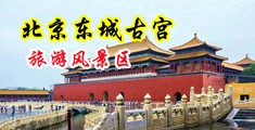 亚州乱伦中国北京-东城古宫旅游风景区